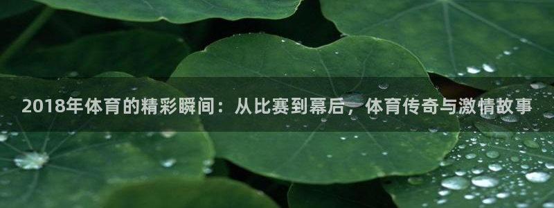 pg巅峰国际app下载