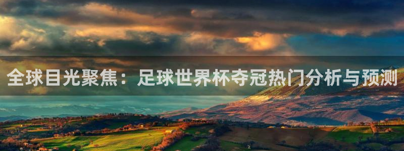 巅峰国际app官方下载入口