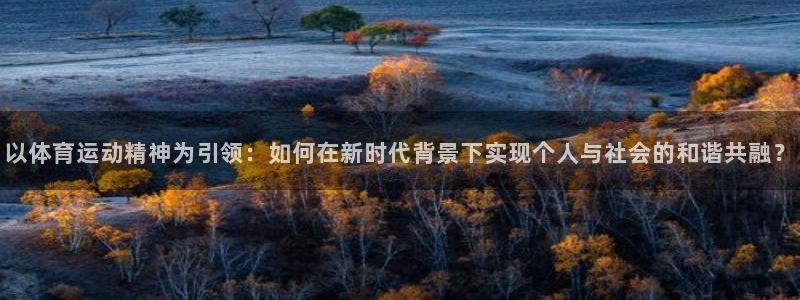 巅峰国际服官网入口