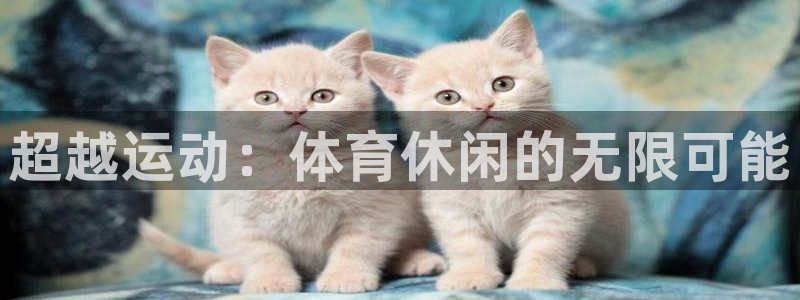 pg巅峰国际下载入口