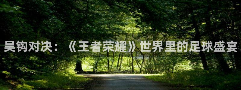 决胜巅峰国际下载入口