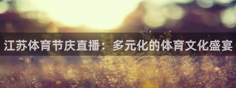 巅峰国际链接下载