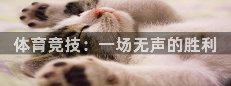 巅峰国际app下载官方网站