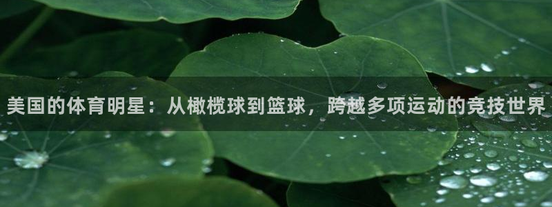 pg巅峰国际app下载