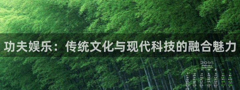 巅峰国际官网入口下载