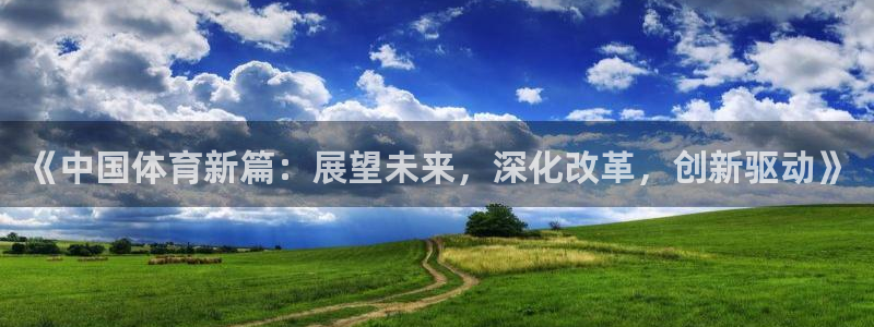 巅峰国际官网入口网址
