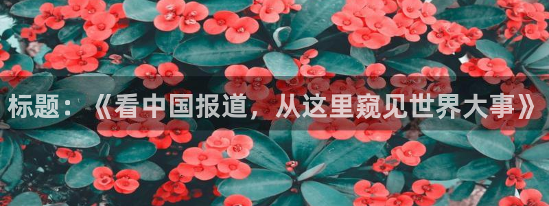巅峰国际平台登录入口