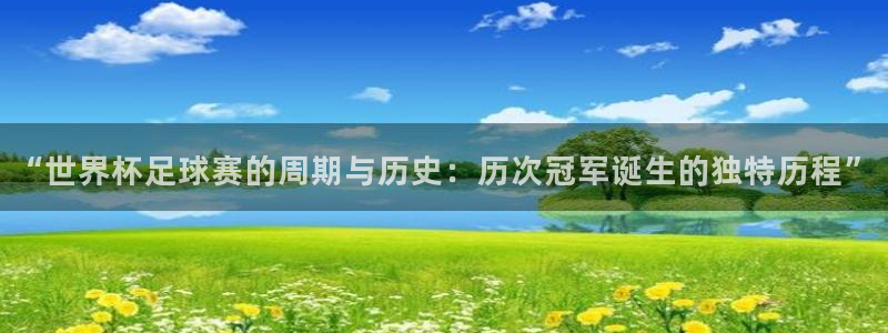 巅峰国际app平台链接