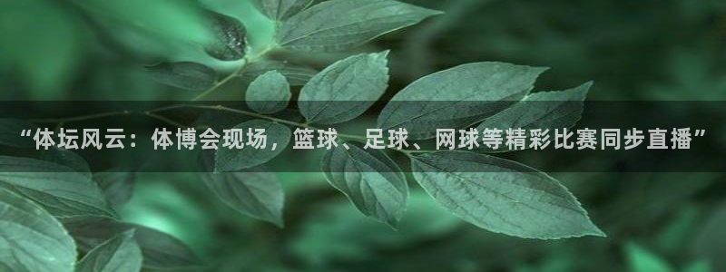 巅峰国际楼盘